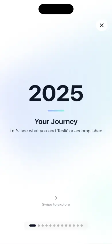 HedgieMate Rewind year in review screen showing Tesla driving statistics, achievements and milestones in Wrapped-style visual story